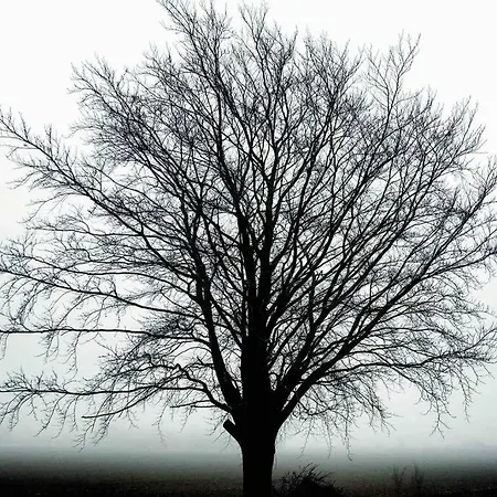 Scandinavian Tranquility - The Real Thing! * Lund (Stevns)