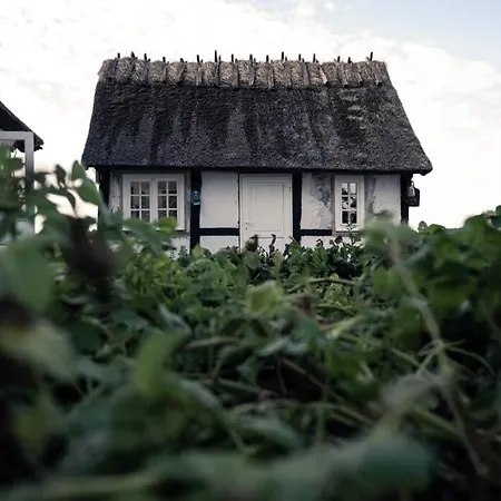 Scandinavian Tranquility - The Real Thing! *
